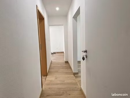 appartement entièrement rénové avec cave et jardin