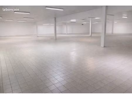 à louer local professionnel 1250m2 + 700m2 de parking