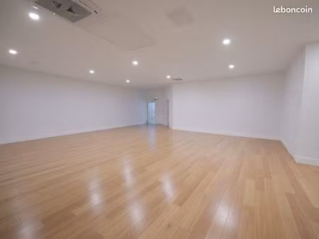 local professionnel 270m2 tours