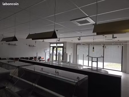 local 235 m² trélazé