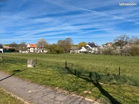 terrain 1 300 m² kirschnaumen