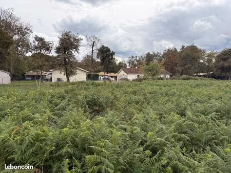 terrain 573 m² bas mauco