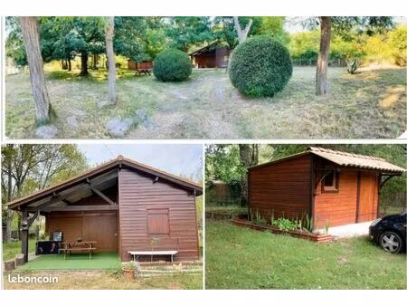 chalet sur grand terrain arboré