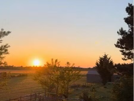 rare - propriété contemporaine 250 m² avec maison indépendante – 1 4 ha de nature – orléan