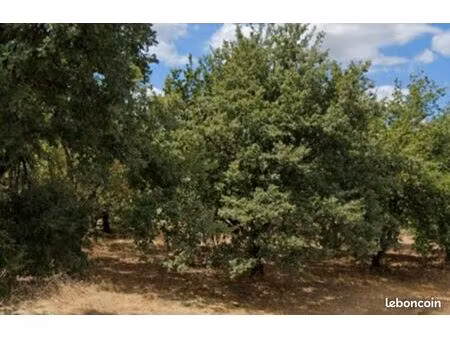 terrain 635 m² marges