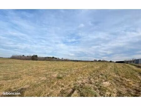 terrain 3 012 m² saint aigulin