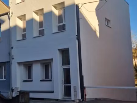 ? immeuble de rapport entièrement rénové – 5 lots + potentiel 6ᵉ | creutzwald – centre vil