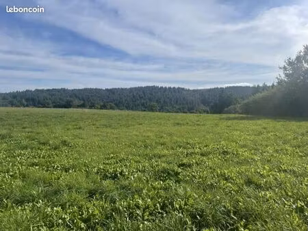 terrain 1 500 m² roannes saint mary