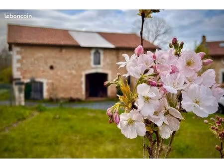 maison meublée 100m2 - vue panoramique