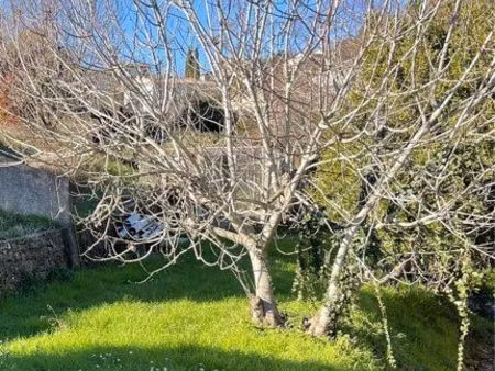 terrain pour jardinage