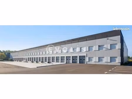 local industriel 8 018 m²