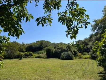 terrain de 1100 m2  division possible  bordé d’une forêt et d’un ruisseau