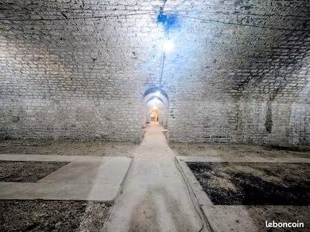 appartement 1 pièce 800 m²