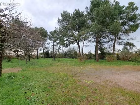 terrain 600 m² leognan