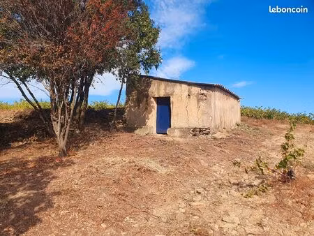 mazet sur terrain de 10 000 m2 faugères 34