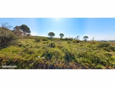 terrain agricole 1 388 m² loupian