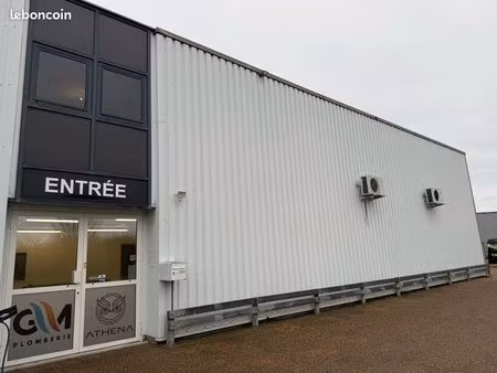 local professionnel 300 m2 villemandeur