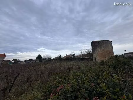 terrain 4996 m² blaye