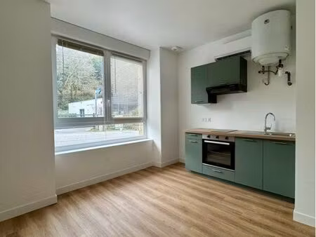 appartement t2 chateaulin wifi +parking