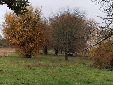 maison plain-pied - tout confort -dépendance - grand terrain arboré - verger - jardin fleu