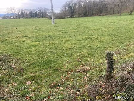 terrain 1 247 m² saint priest bramefant