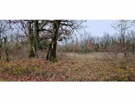 urgent terrain constructible