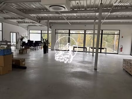 local d'activité 291 m²