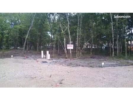 terrain 623 m² labouheyre