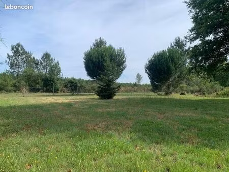 terrain constructible à lue de 768m2