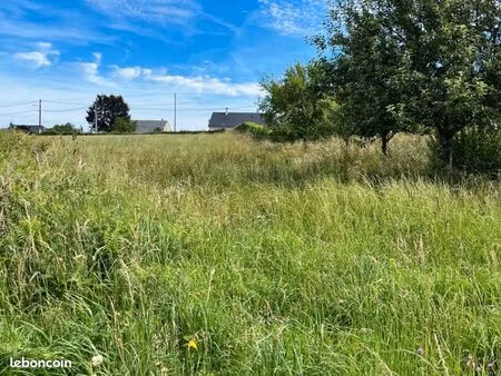 terrain 1 500 m² roannes saint mary