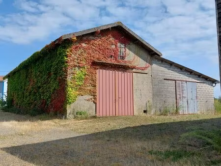 hangar 140 m² - changement de destination possible