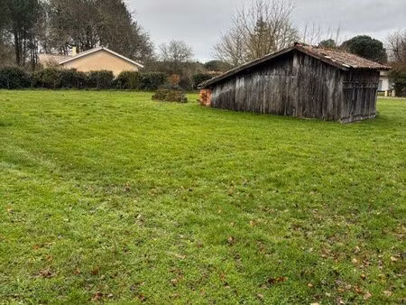 terrain constructible