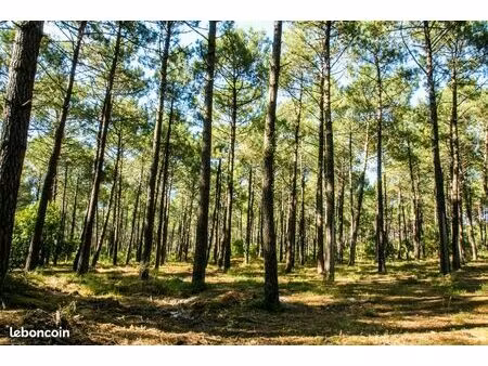 terrain 571 m² tosse