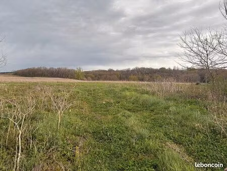 terrain 2947 m² villaudric