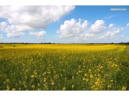 terrain 799 m² mios