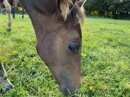 recherche terrain agricole