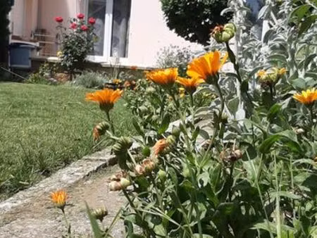 maison t5  85 m2  3 chambres  1 étage