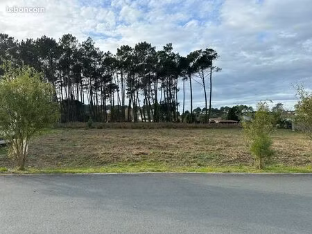 terrain viabilisé de 603 m² à vieille-saint-girons  en lisière de forêt  à 6 km de l’océan