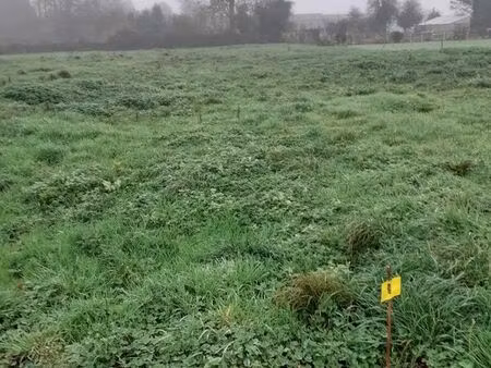 terrain constructible