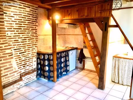 f1 bis cocon en duplex - hypercentre piétonnier