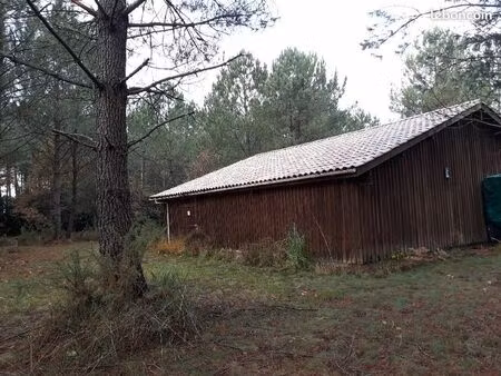 grand bâtiment en bois en forêt
