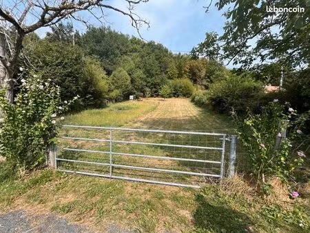 terrain 6 560 m² beaulieu sur dordogne
