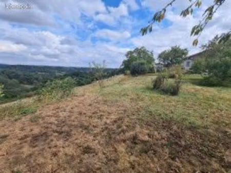 propriété dans les landes aux portes du béarn sur 2 hectares