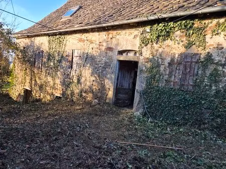maison en pierre avec dépendance et terrain