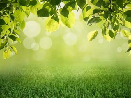 terrain 880 m² biscarrosse