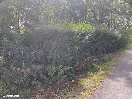 terrain 1 000 m² chermignac