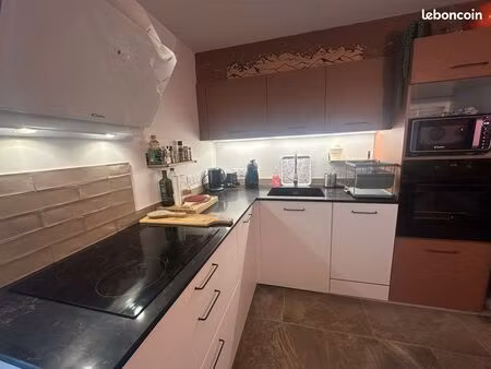 appartement t2 avec cabane sous le toit