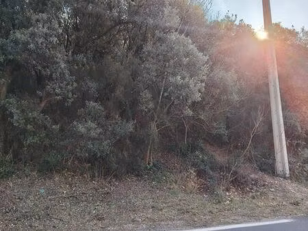 à vendre – terrain boisé – la tour-sur-orb (34260)