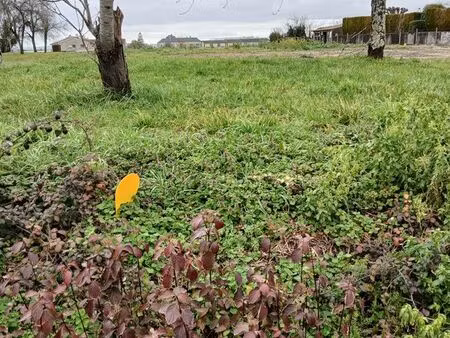 terrain à construire