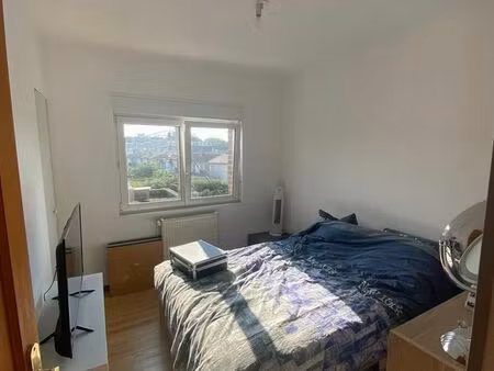 t3 en triplex meublé avec terrasse  proche chu et commerces (lille)